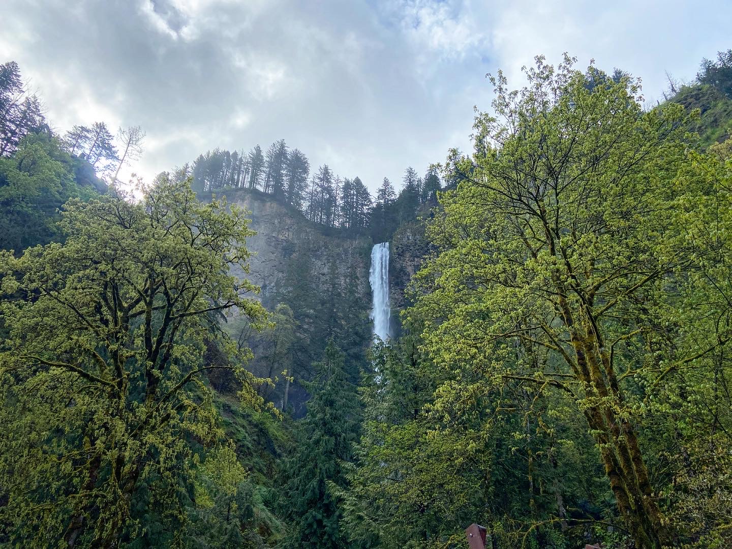 multnomah_falls_april_rain_cloudyglow