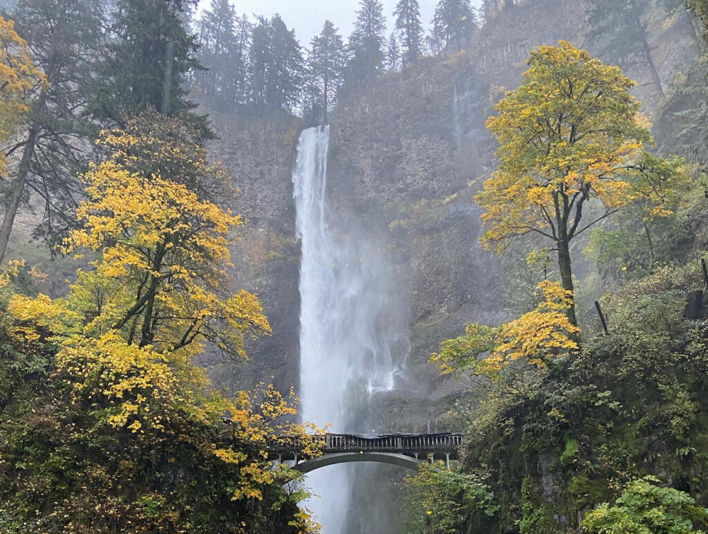 a view of a tall block style waterfall falling in the midst of amber and gold big leaf maples and from a cliff lined with dark green Douglas fir trees